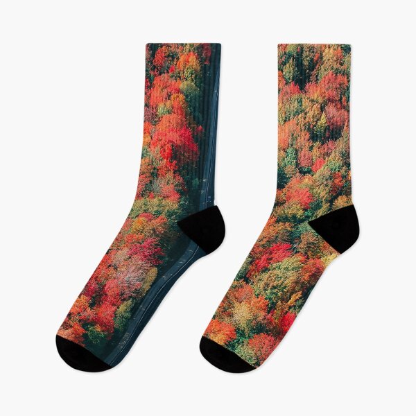 Item preview, Road carving through colorful trees designed and sold by jkulling.