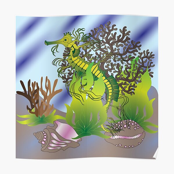 A leafy Sea Dragon Poster