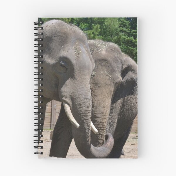 Item preview, Asian Elephants - Beco and Phoebe designed and sold by akdcash.