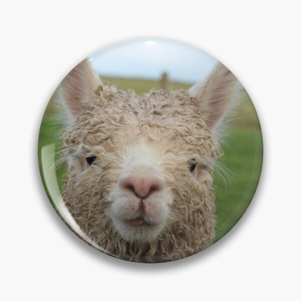 Item preview, Cute Alpaca designed and sold by LearsInteriors.