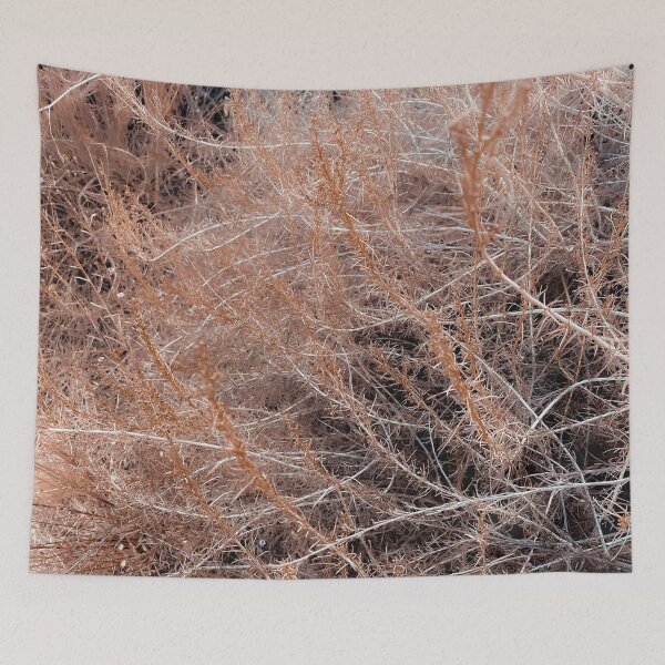 Item preview, Closeup brown dry plant abstract texture background designed and sold by Mrvell.