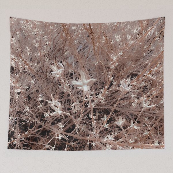 Item preview, blooming dry plant with brown dry grass field background designed and sold by Mrvell.