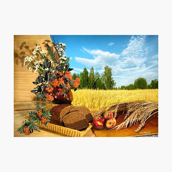 The bread that came down from heaven ... Photographic Print