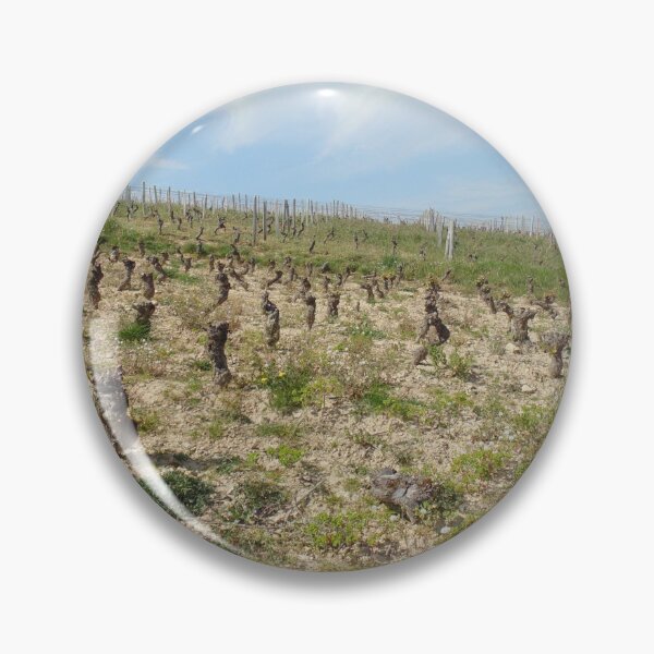 Item preview, Old vines in Burgundy, France designed and sold by wineandwords.