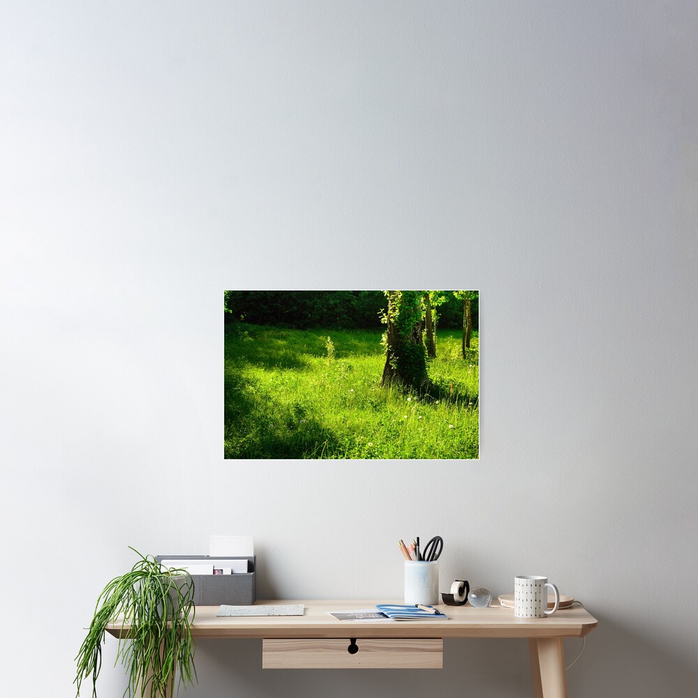 Item preview, Poster designed and sold by Mallorn.