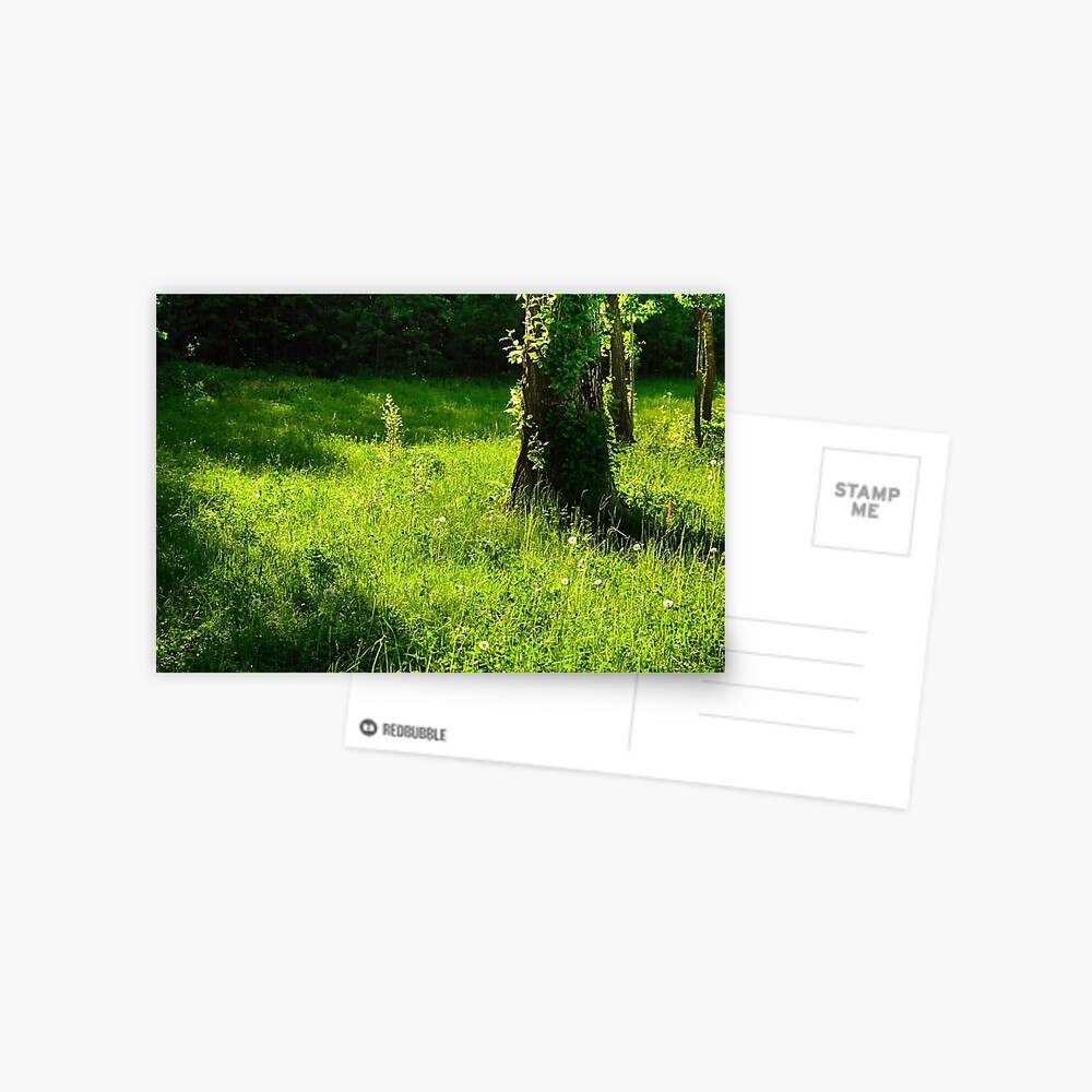 Item preview, Postcard designed and sold by Mallorn.