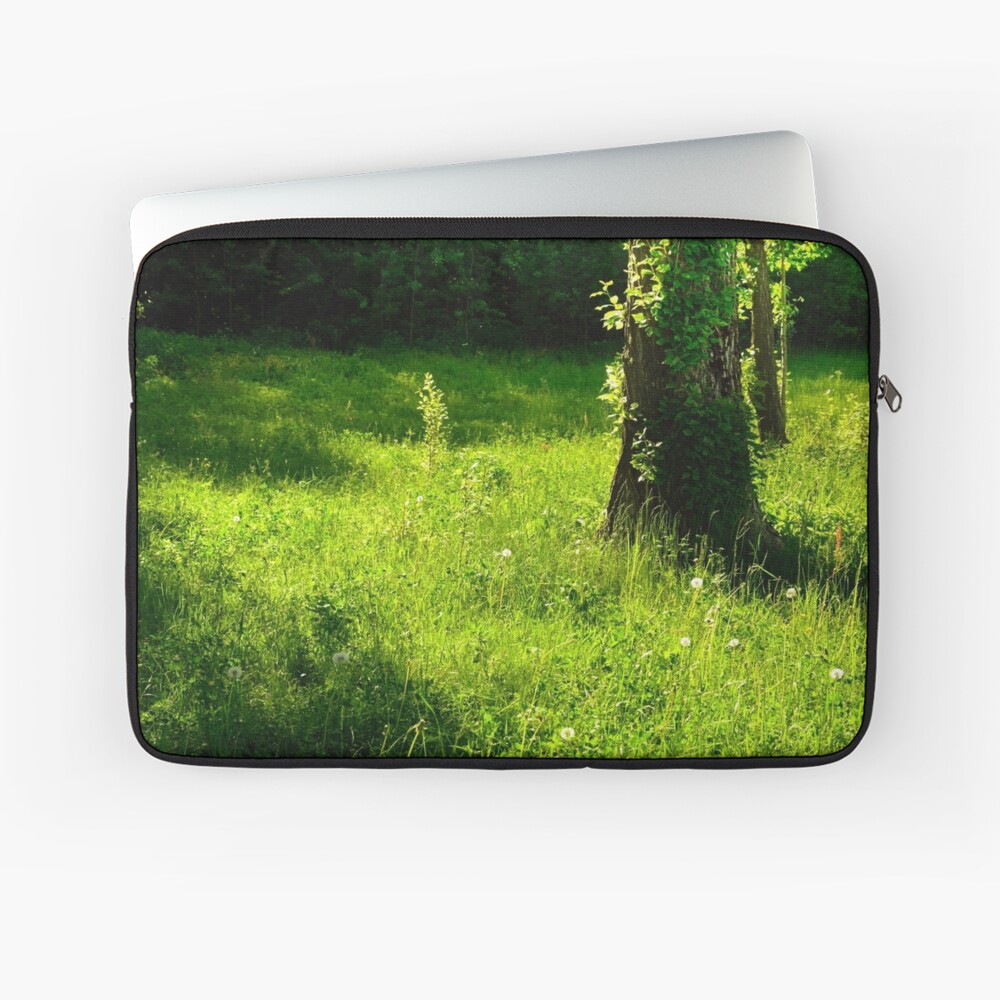 Item preview, Laptop Sleeve designed and sold by Mallorn.