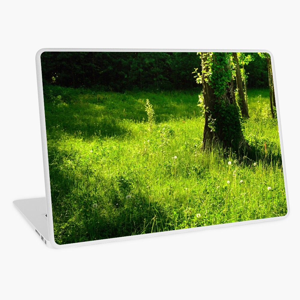 Item preview, Laptop Skin designed and sold by Mallorn.