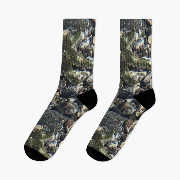 Item preview, Sea Star  designed and sold by FridayHarborMan.