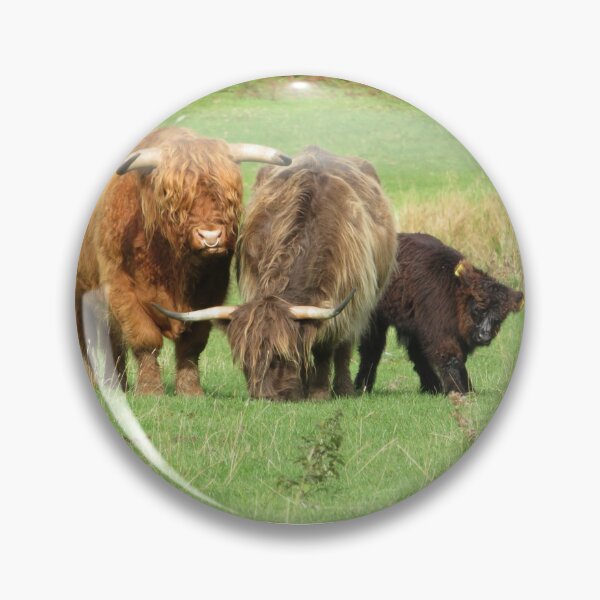 Item preview, Highland Cow Family designed and sold by LearsInteriors.