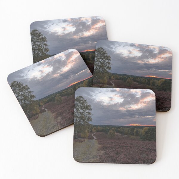 Item preview, Photo Fotografie Lüneburg Heath Germany in autumn designed and sold by paul-zenek.