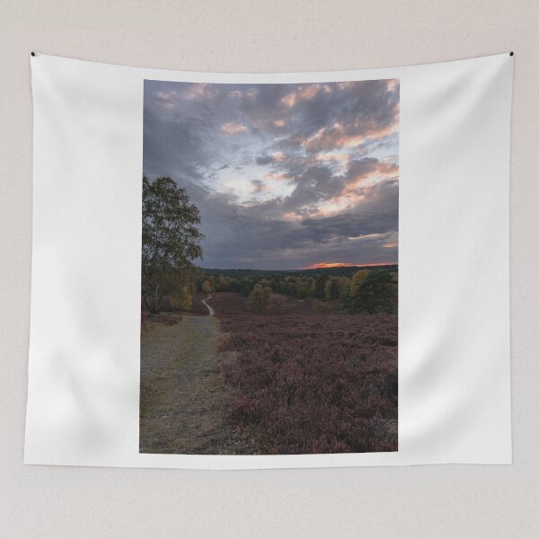 Item preview, Photo Fotografie Lüneburg Heath Germany in autumn designed and sold by paul-zenek.