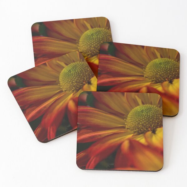 Item preview, Daisy at Sunset designed and sold by DonnaMariePhoto.