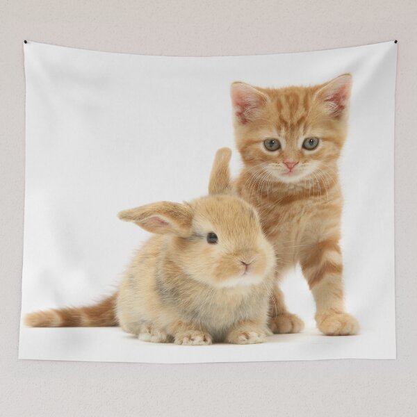 Item preview, Gingers together  designed and sold by Warren  Photographic.
