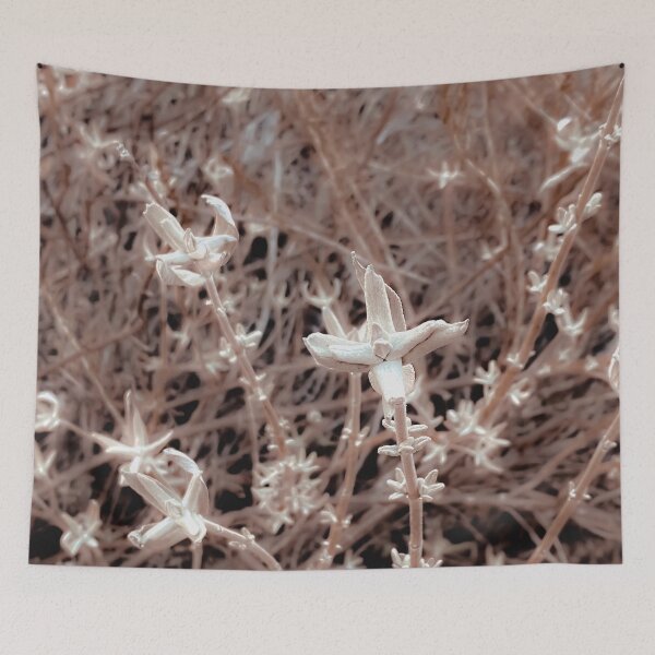 Item preview, blooming dry plant with brown dry grass background designed and sold by Mrvell.