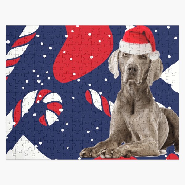 weimaraner jigsaw puzzle
