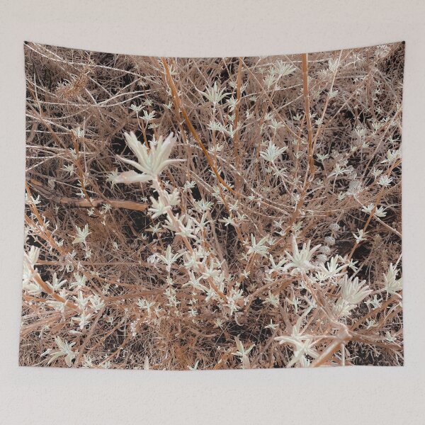 Item preview, blooming dry flowers with brown dry grass background designed and sold by Mrvell.
