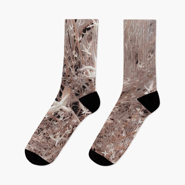Item preview, dry flowers with brown dry grass texture background designed and sold by Mrvell.