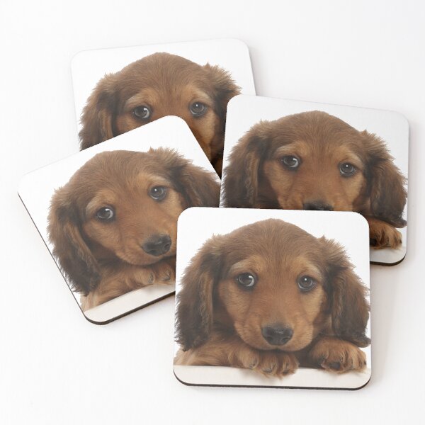 Item preview, Dachshund Puppy Dog designed and sold by ScienceSource.