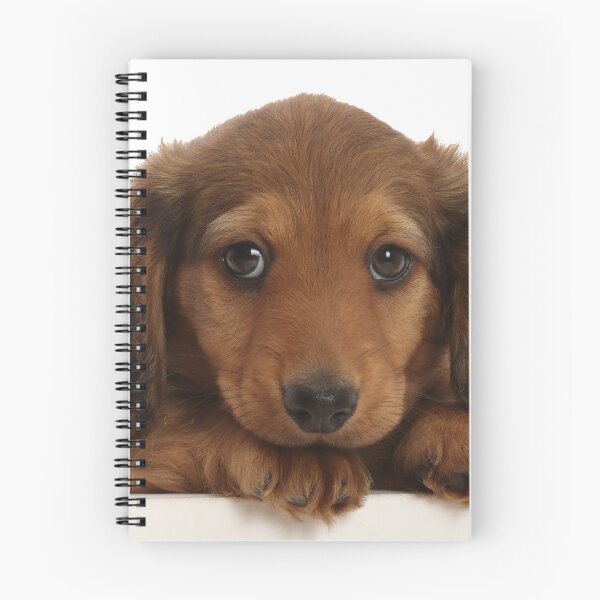 Item preview, Dachshund Puppy Dog designed and sold by ScienceSource.