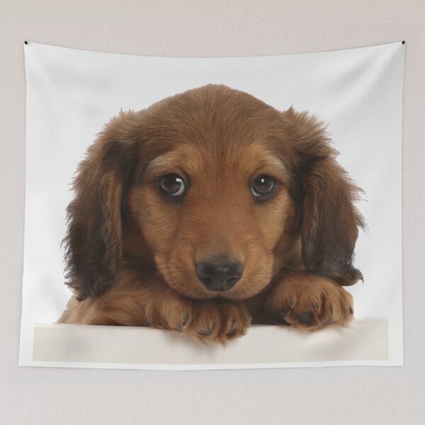 Item preview, Dachshund Puppy Dog designed and sold by ScienceSource.