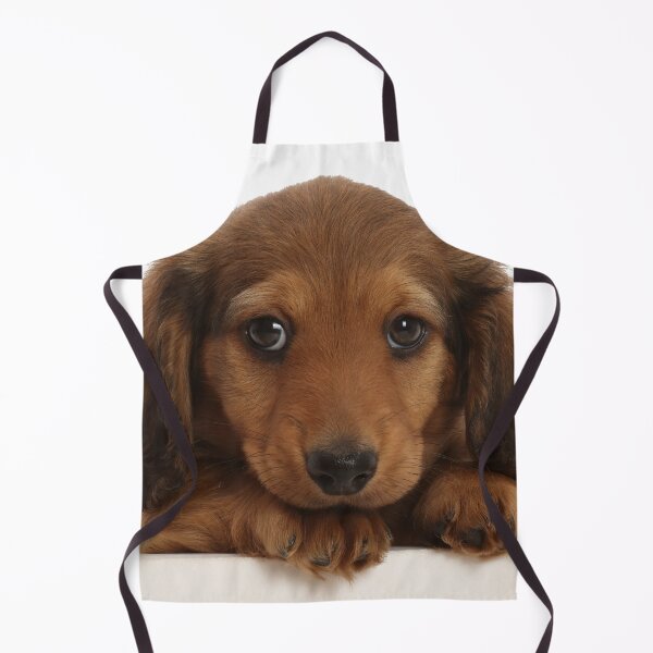 Item preview, Dachshund Puppy Dog designed and sold by ScienceSource.