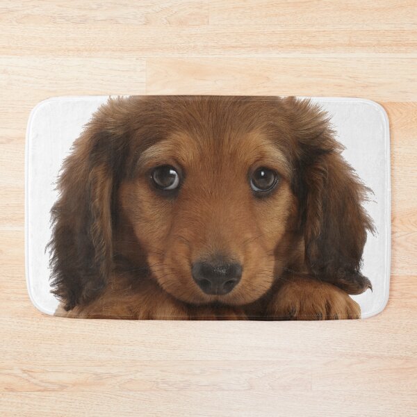 Item preview, Dachshund Puppy Dog designed and sold by ScienceSource.