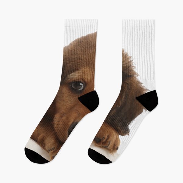 Item preview, Dachshund Puppy Dog designed and sold by ScienceSource.