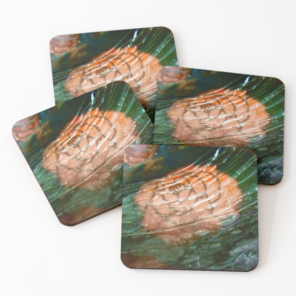 Item preview, Underwater Roses designed and sold by Shulie1.