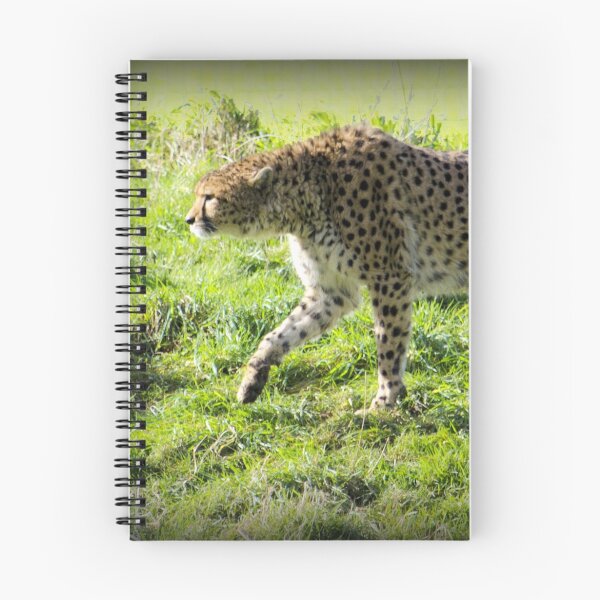 Item preview, Stalking designed and sold by mikebov.