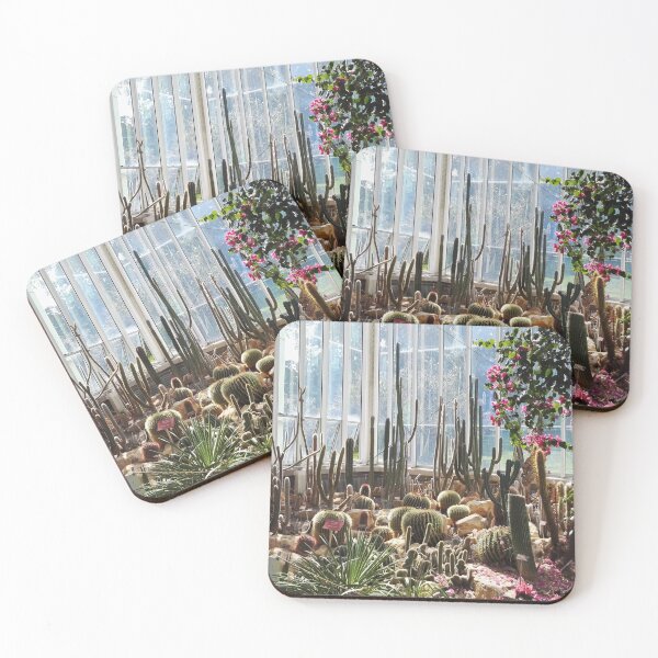 Item preview, Cacti in greenhouse in Geneva's Botanical Garden designed and sold by wineandwords.