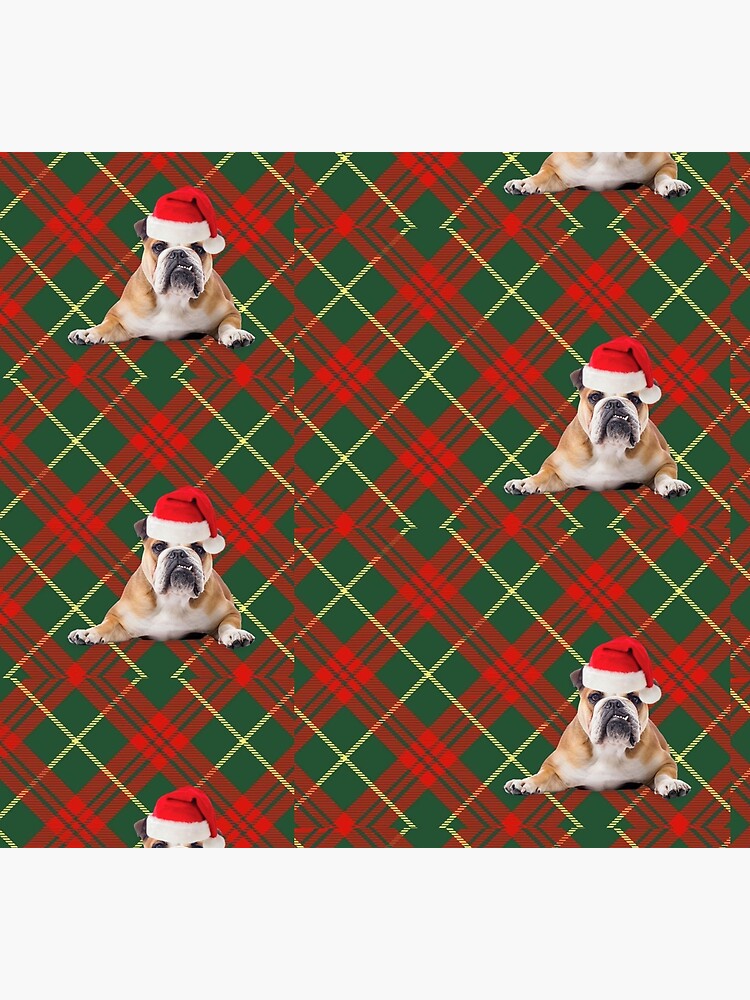 Disover English Bulldog Christmas Tartan Socks