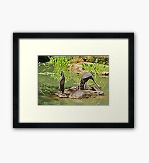 Two Iron Egrets Framed Print