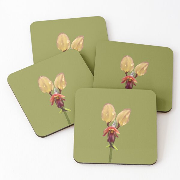 Item preview, Donkey Orchid designed and sold by STHogan.