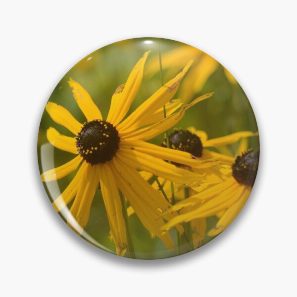 Item preview, Black Eyed Susans designed and sold by kry.ative.