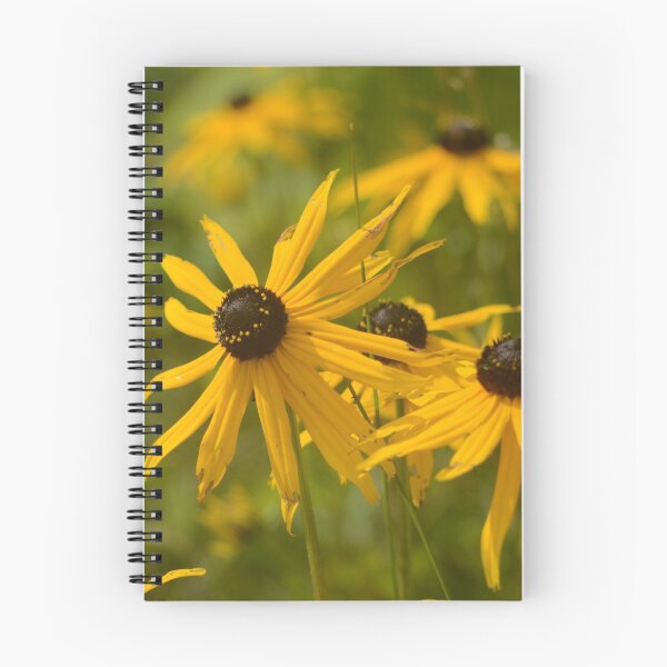 Item preview, Black Eyed Susans designed and sold by kry.ative.