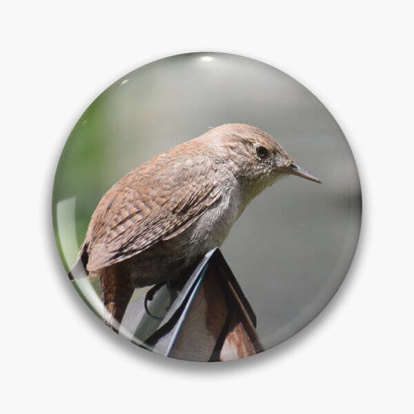 Item preview, Wren designed and sold by Kathleen Brant.
