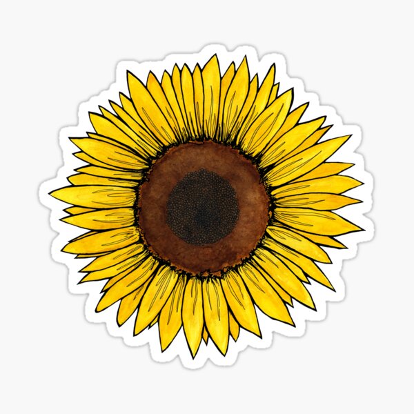 Sunflower Sticker, Wildflower Sticker, Summer Stickers, Tumbler Stickers,  Yeti stickers, Hydro flask stickers, VSCO girl stickers