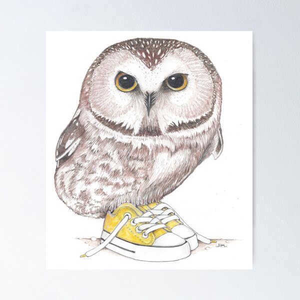 Item preview, Saw-Whet owl in low tops designed and sold by JimsBirds.