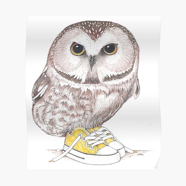 Saw-Whet owl in low tops Poster