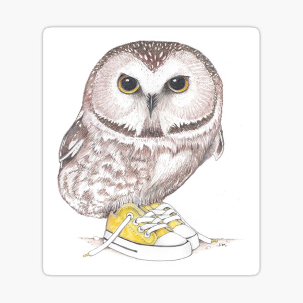 Saw-Whet owl in low tops Sticker