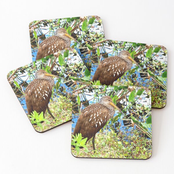 Item preview, Gorgeous limpkin designed and sold by B. Randi Bailey.
