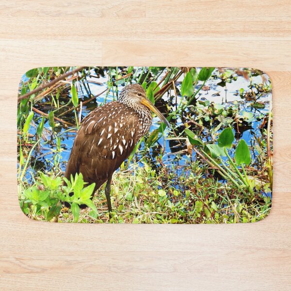 Item preview, Gorgeous limpkin designed and sold by B. Randi Bailey.