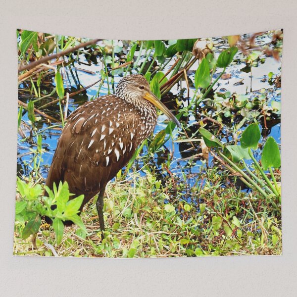 Item preview, Gorgeous limpkin designed and sold by B. Randi Bailey.