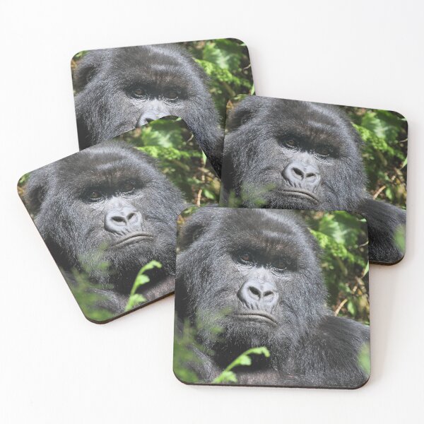 Item preview, Sombre Look, Silverback Gorilla, Hirwa Group, Rwanda designed and sold by Carole-Anne.
