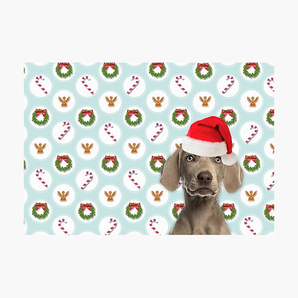 Item preview, Weimaraner Christmas designed and sold by FunShirtDesigns.