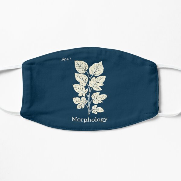 Morphology Mask