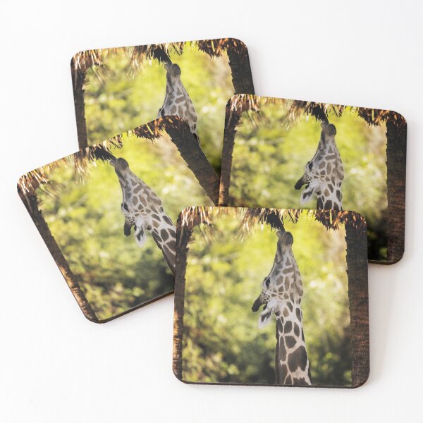 Item preview, Giraffe Reaches for Overhead Leaves designed and sold by KbytesOfJax Outdoor and Nature.