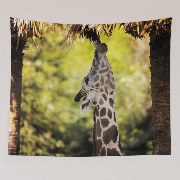Item preview, Giraffe Reaches for Overhead Leaves designed and sold by KbytesOfJax Outdoor and Nature.