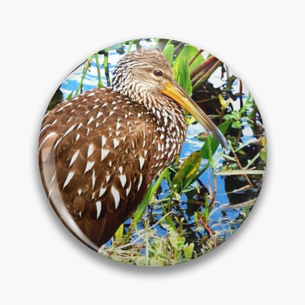 Item preview, Gorgeous limpkin designed and sold by B. Randi Bailey.